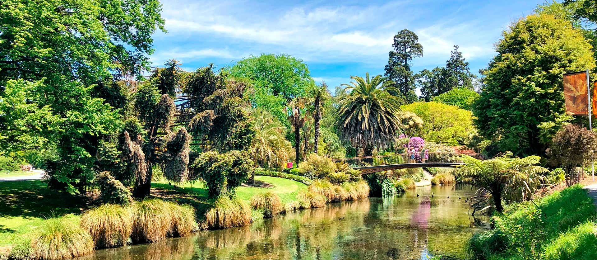 Jardín Botánico <span class="iconos separador"></span> Christchurch 