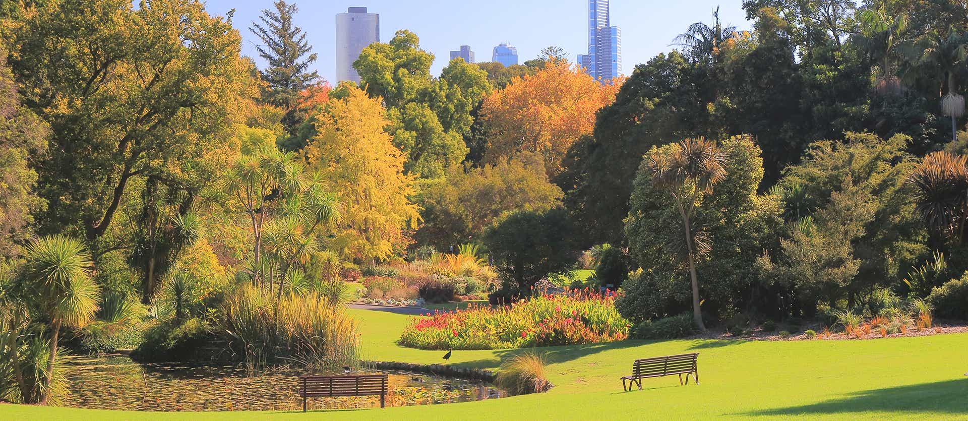 Jardín Botánico <span class="iconos separador"></span> Melbourne