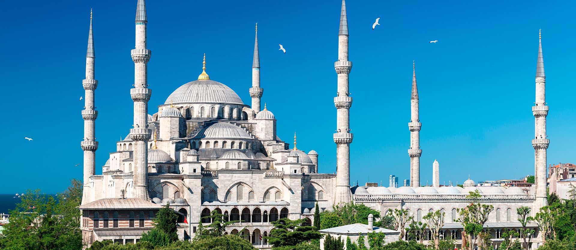 Mezquita Azul <span class="iconos separador"></span> Estambul <span class="iconos separador"></span> Turquía