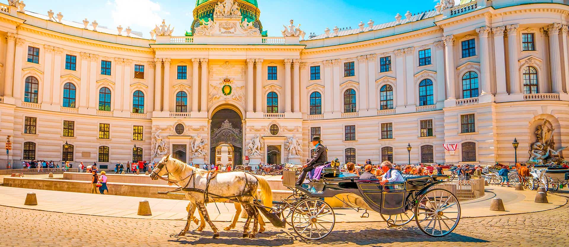 Palacio Imperial de Hofburg <span class="iconos separador"></span> Viena <span class="iconos separador"></span> Austria