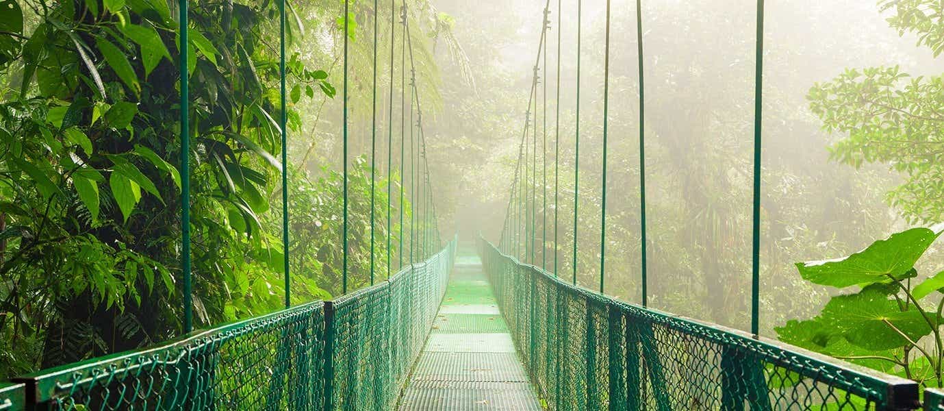 Puente colgante <span class="iconos separador"></span> Reserva Biológica del Bosque Nuboso de Monteverde
