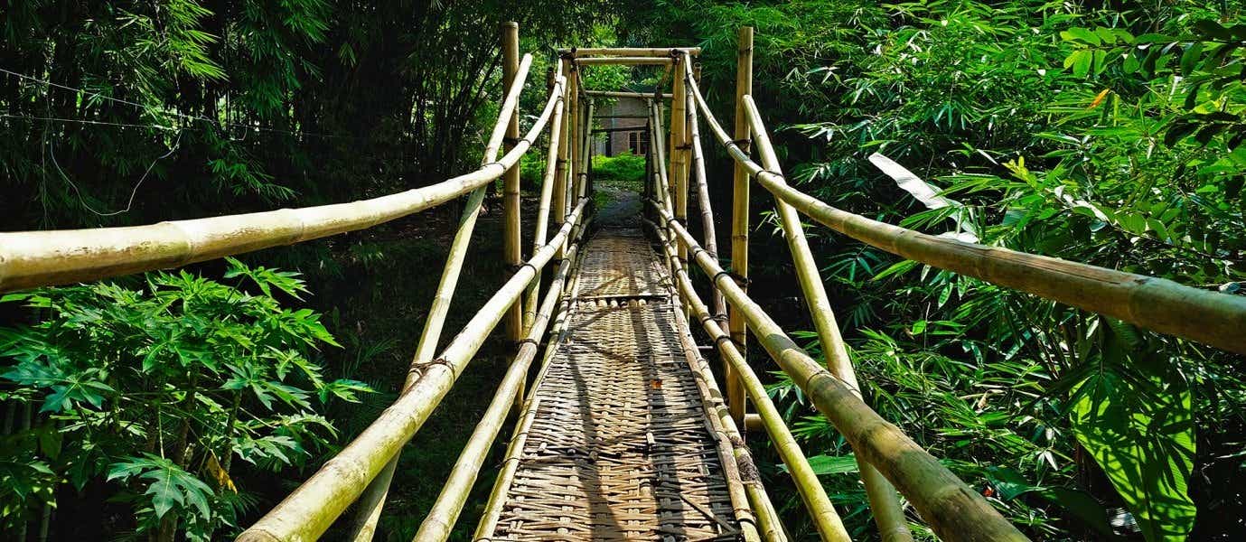 Puente tradicional de bambú <span class="iconos separador"></span>Java