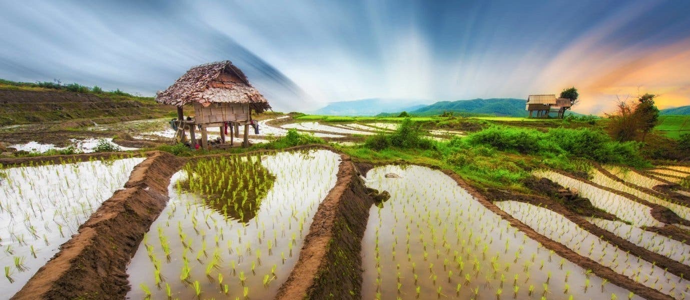 Rice Fields <span class="iconos separador"></span> Chiang Mai <span class="iconos separador"></span> Thailand 