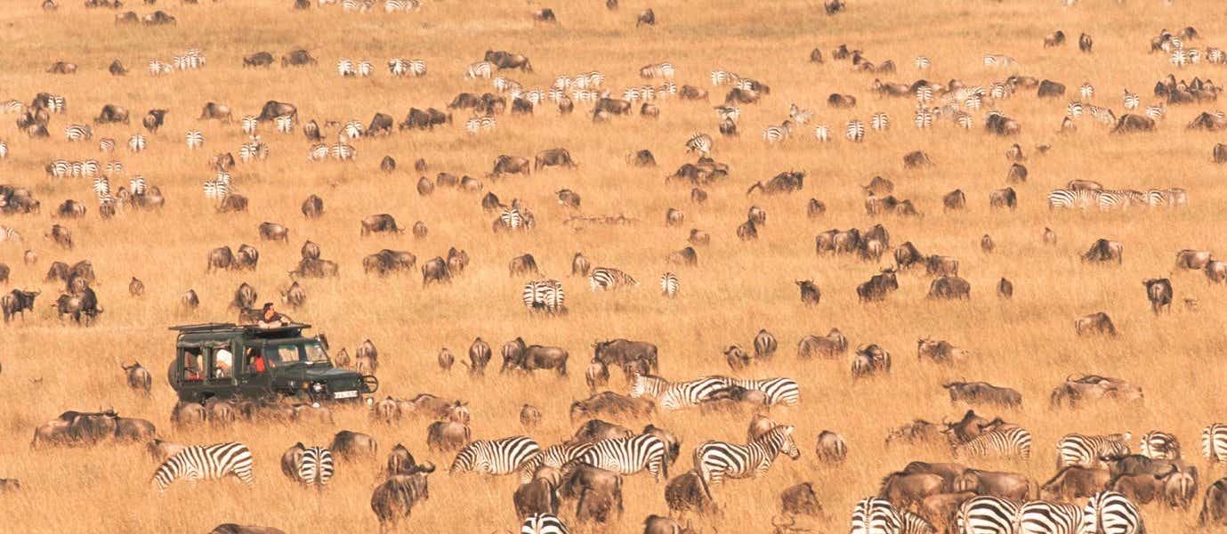 Safari in Maasai Mara National Park <span class="iconos separador"></span> Kenya