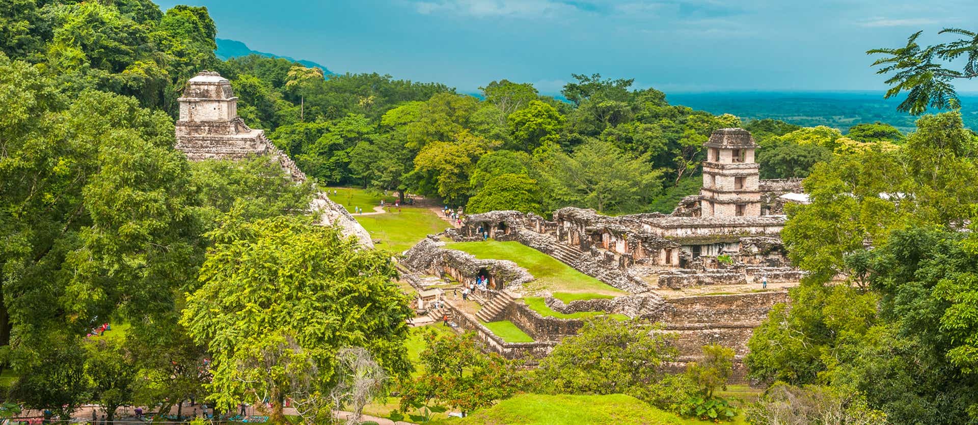 Mayan Ruins <span class="iconos separador"></span> Palenque