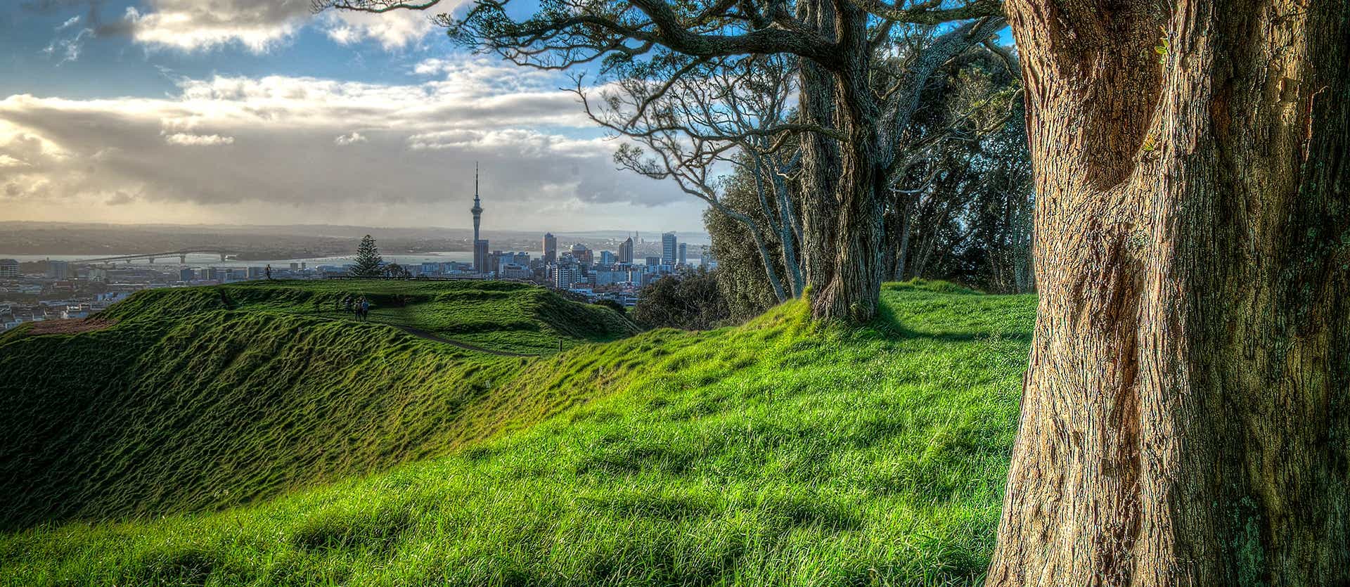 Hilltop View <span class="iconos separador"></span> Auckland