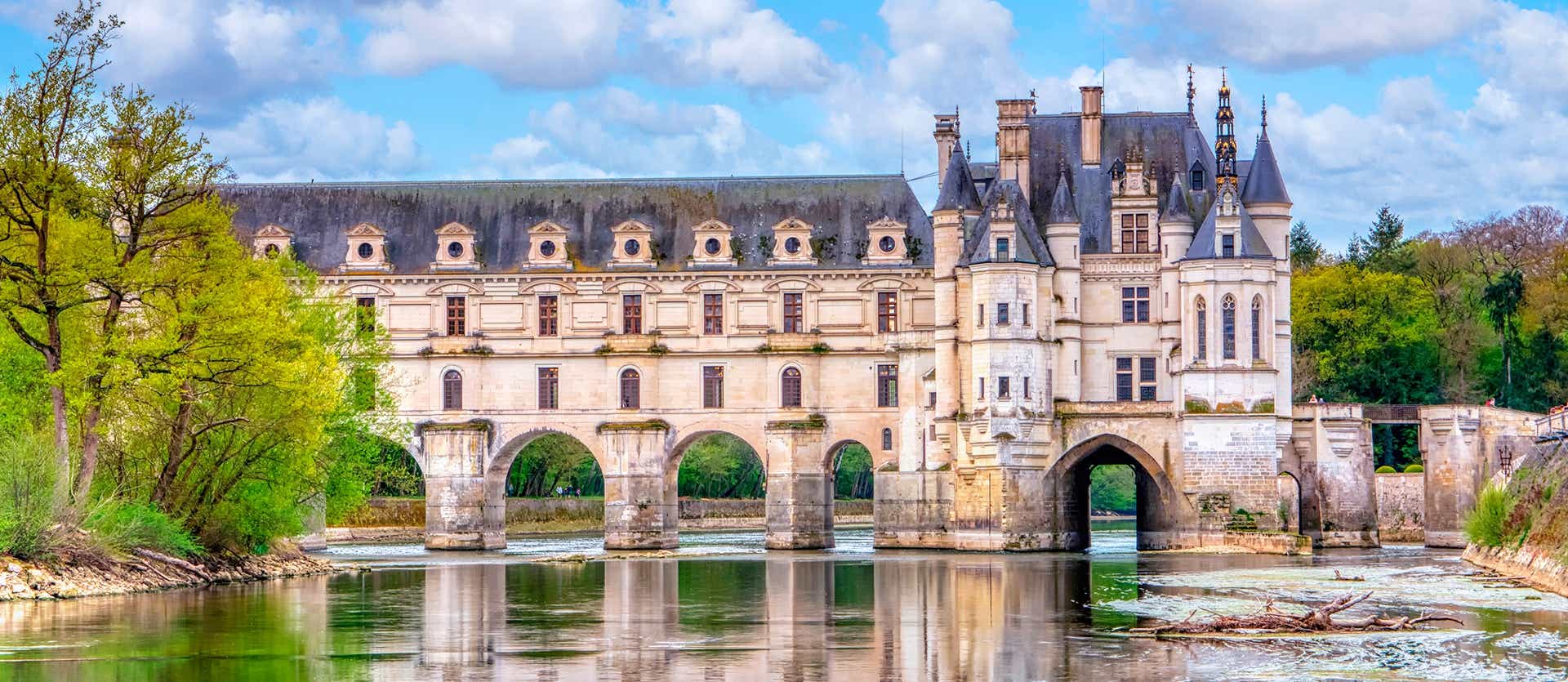 Castle of Chenonceau <span class="iconos separador"></span> Loire Valley