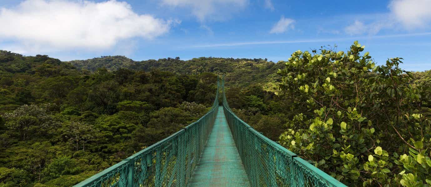 Rainforest Bridge <span class="iconos separador"></span> Monteverde 