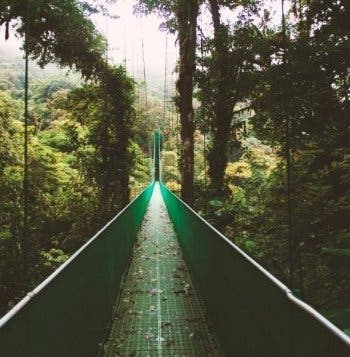 Tropical Adventures & Rainforests