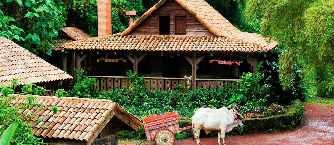 Traditional House <span class="iconos separador"></span> Costa Rica