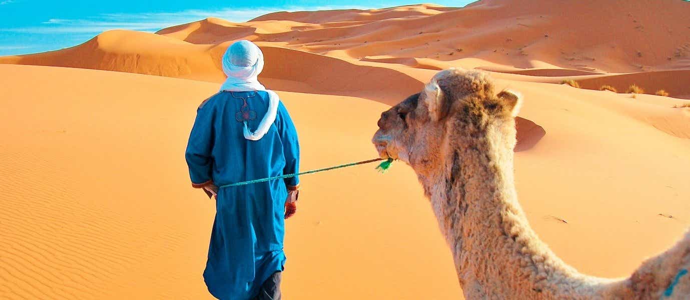 Kamel in der Wüste <span class="iconos separador"></span> Marokko