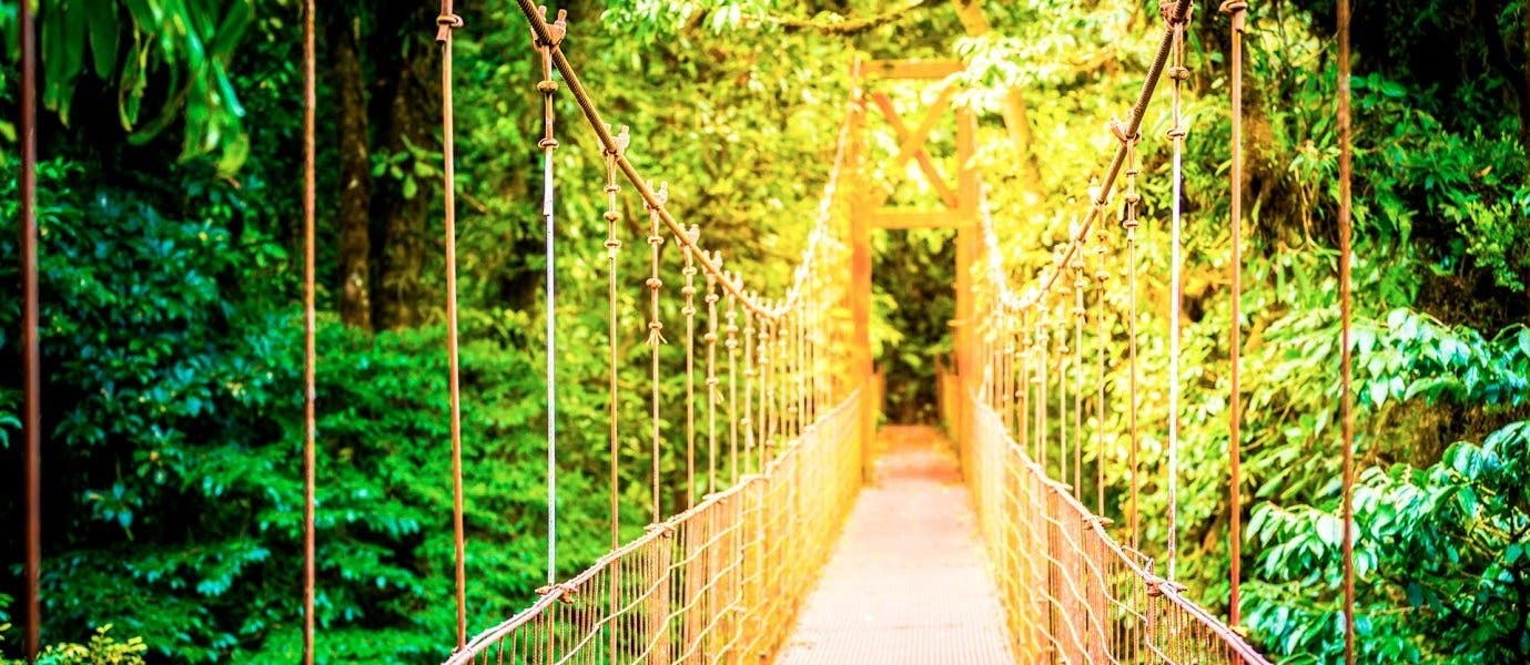 Hängebrücke durch den Dschungel <span class="iconos separador"></span> Monteverde
