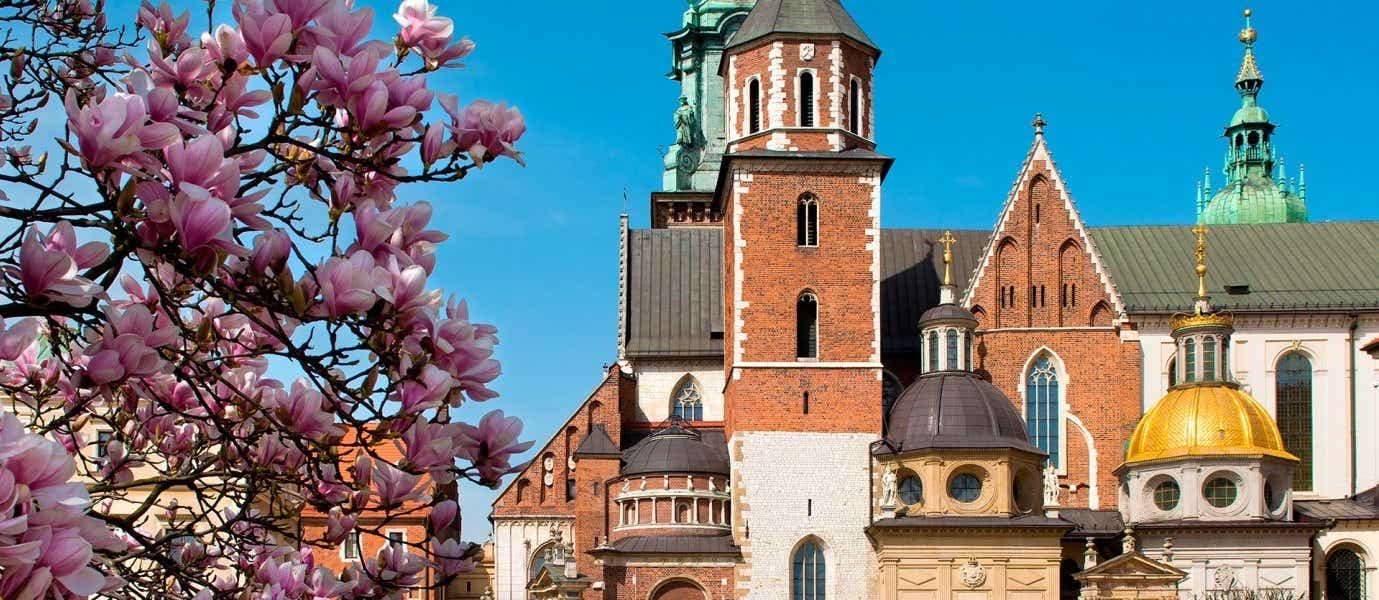 Wawel Castle <span class="iconos separador"></span> Krakow