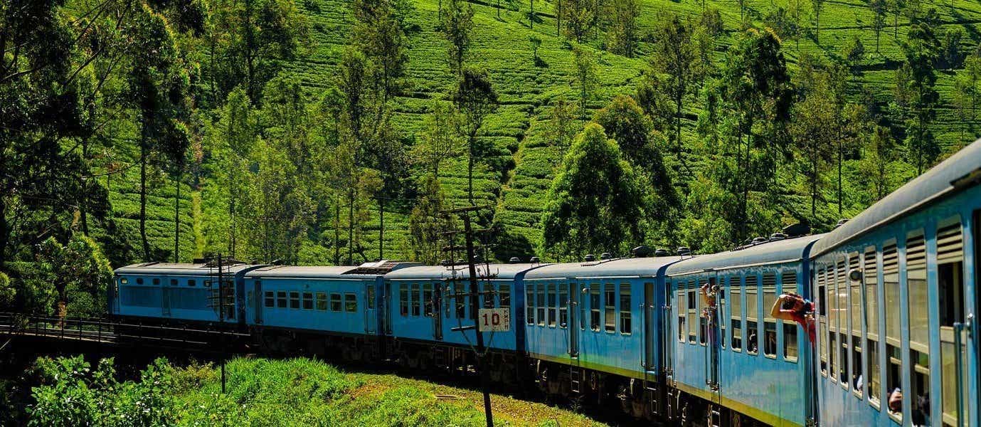 <span class="iconos separador"></span> Scenic Train Ride from Nuwara Eliya to Kandy <span class="iconos separador"></span>
