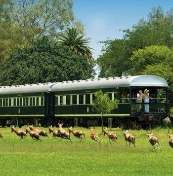 Luxury Rovos Rail & Safari Experience