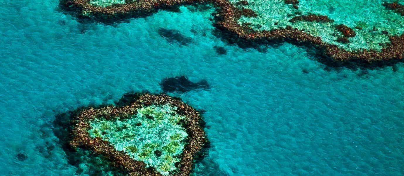 Great Barrier Reef <span class="iconos separador"></span> Cairns