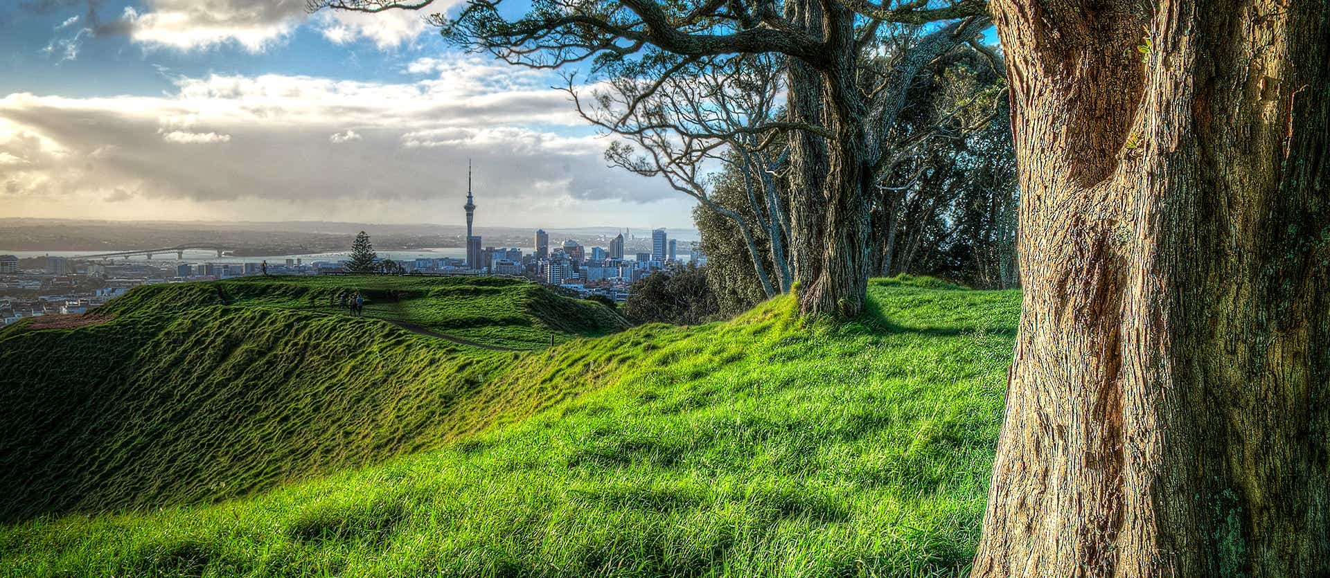 View of Auckland <span class="iconos separador"></span> New Zealand