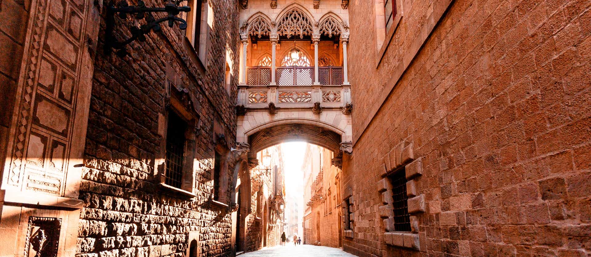 Gothic Quarter <span class="iconos separador"></span> Barcelona