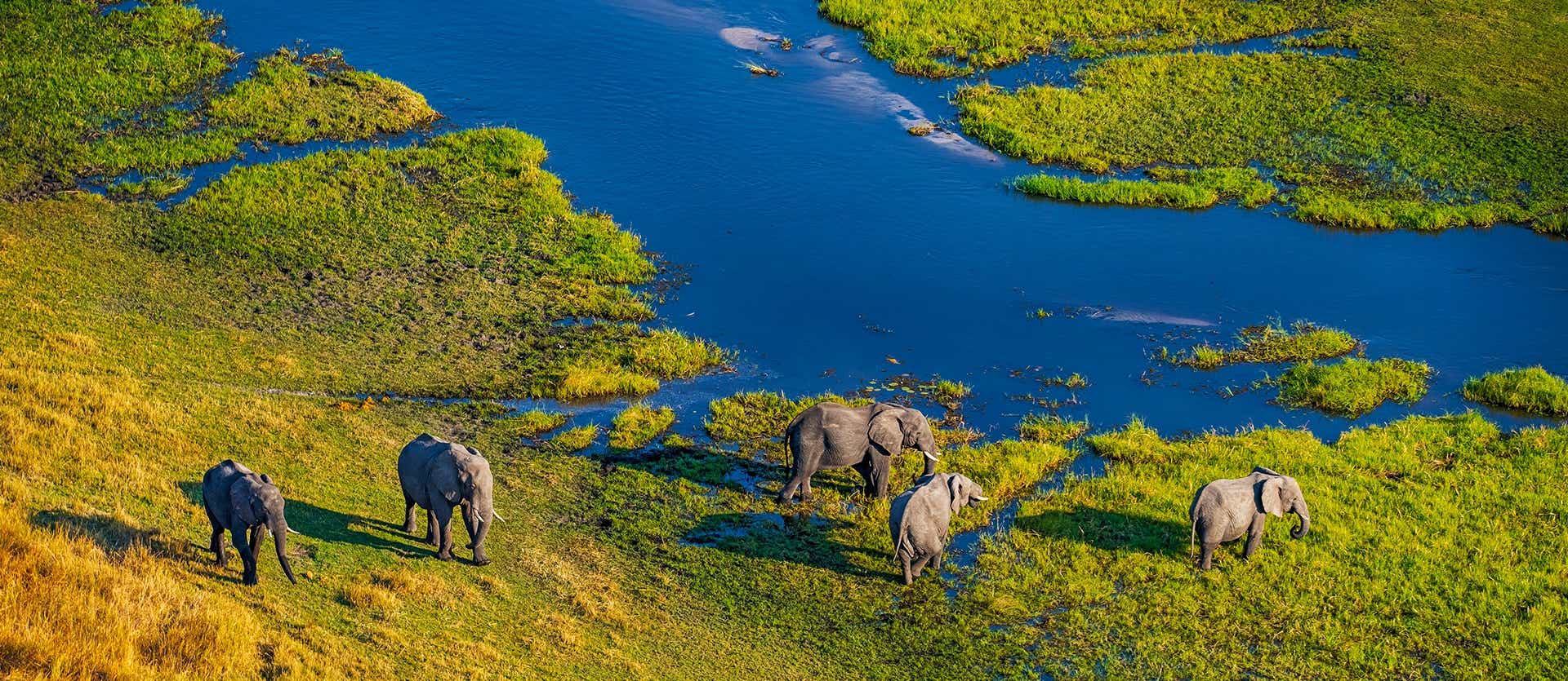 Okavango Delta <span class="iconos separador"></span> Botswana