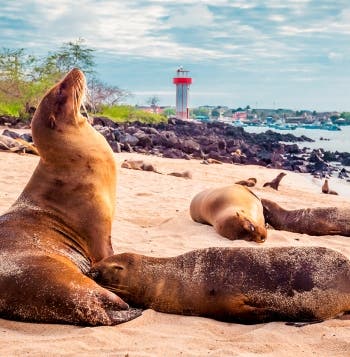 Tropical Discovery & Galapagos Dreams