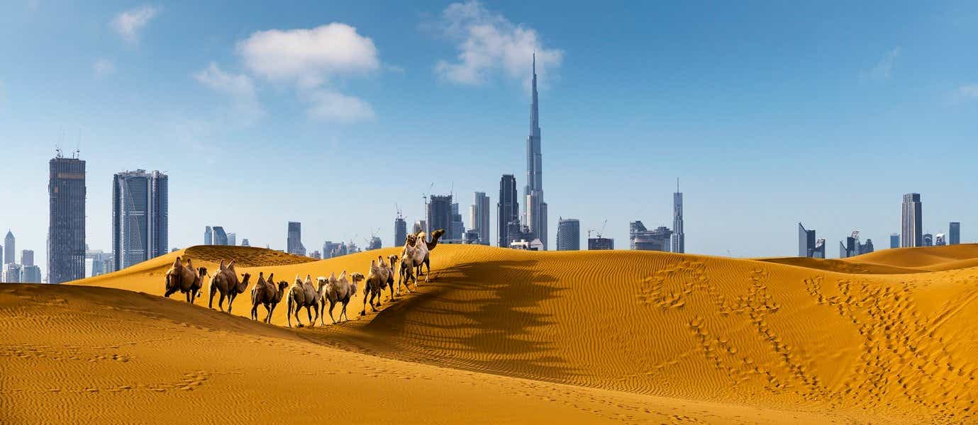 Dubai Desert <span class="iconos separador"></span> United Arab Emirates 