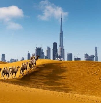 Dubai & Jewels of the Indian Subcontinent