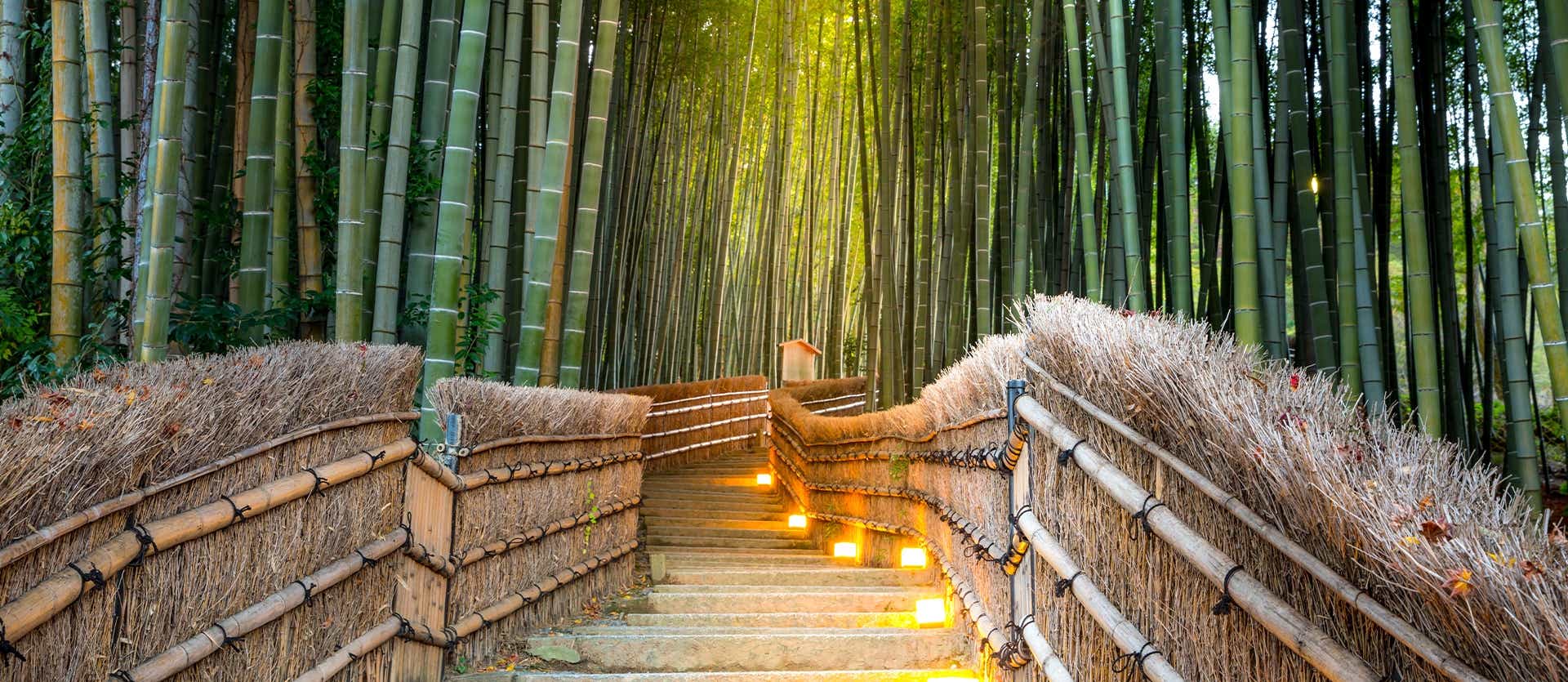 Bamboo Forest <span class="iconos separador"></span> Kyoto
