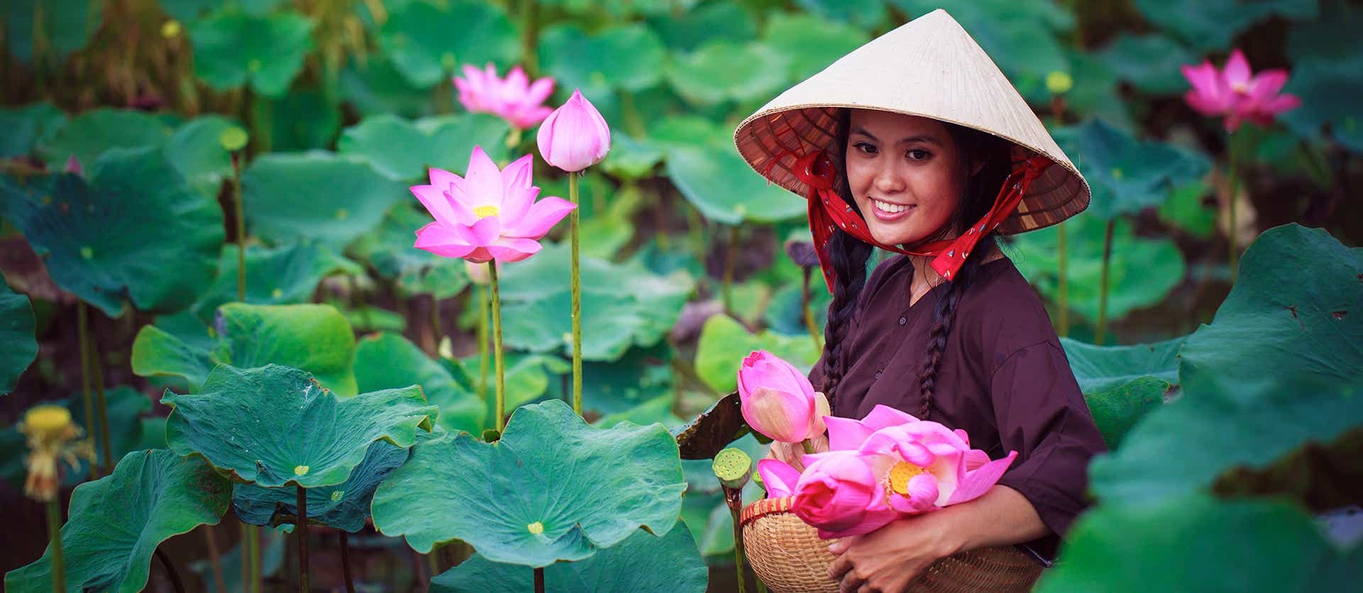 Vietnamese Woman collecting Lotus Flowers <span class="iconos separador"></span> Mekong Delta