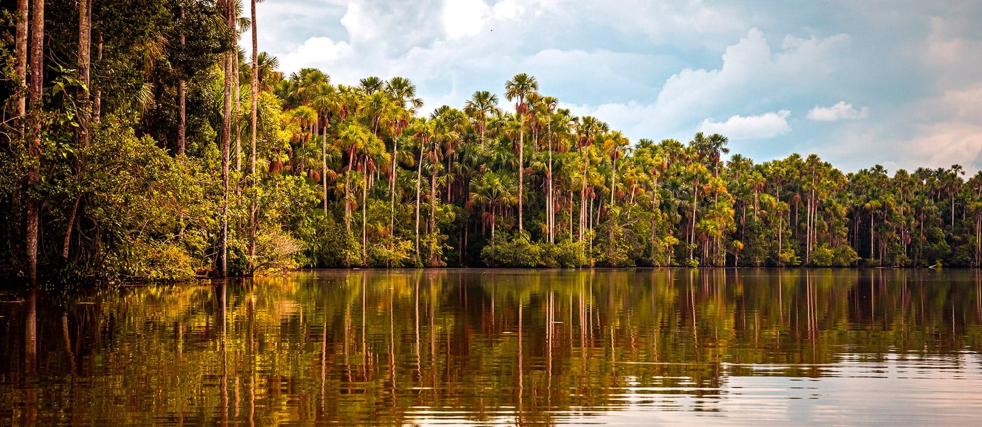 Réserve nationale de Tambopata <span class="iconos separador"></span> Puerto Maldonado