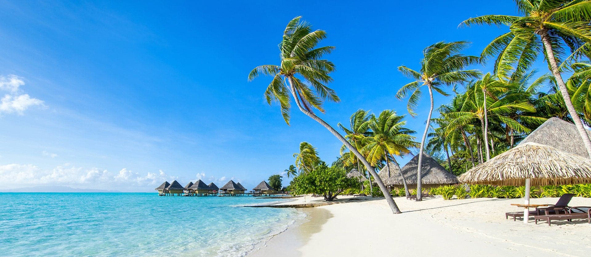 White sand beach <span class="iconos separador"></span> Fiji <span class="iconos separador"></span> Fiji Islands