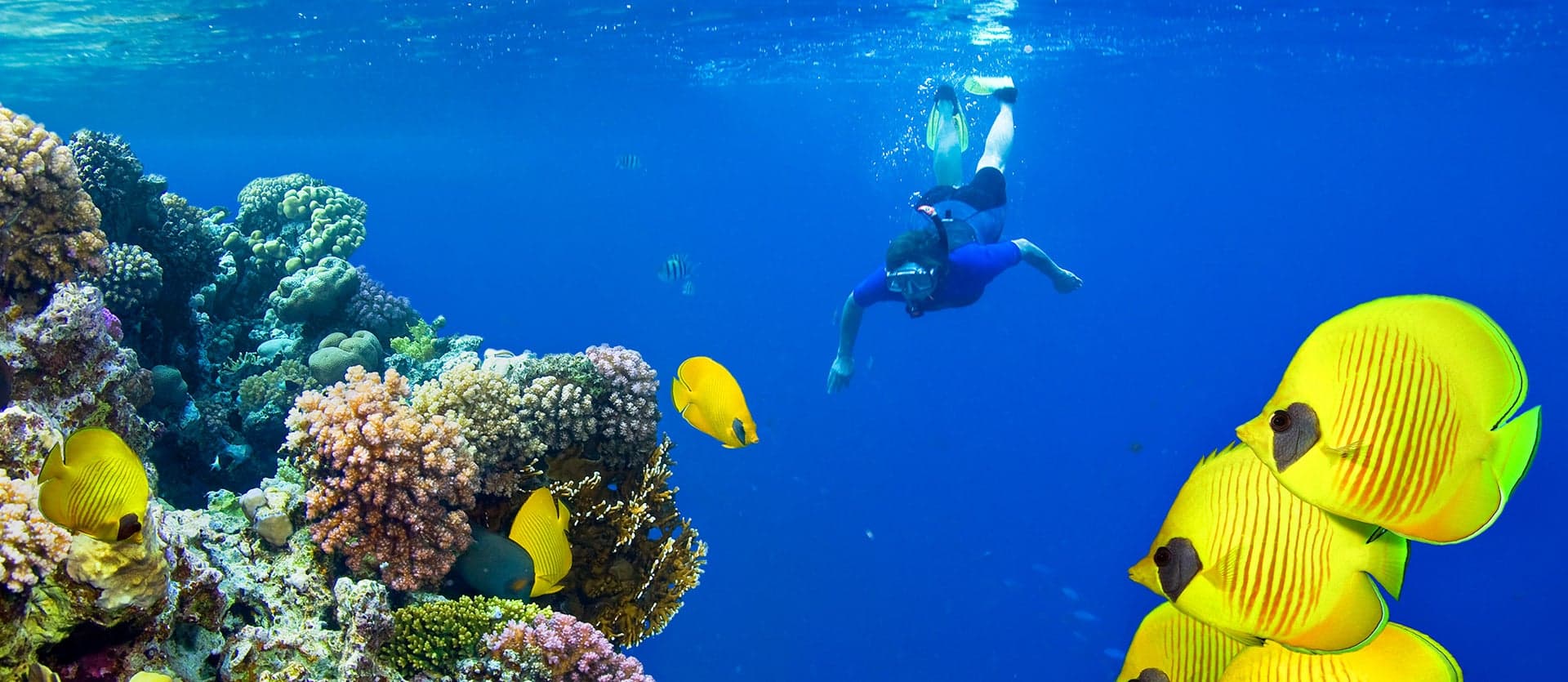 Snorkeling in the sea <span class="iconos separador"></span> Fiji <span class="iconos separador"></span> Fiji Islands
