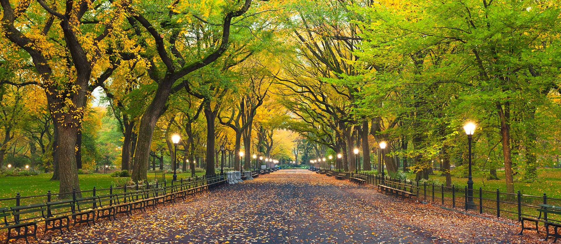 Central Park <span class="iconos separador"></span> New York