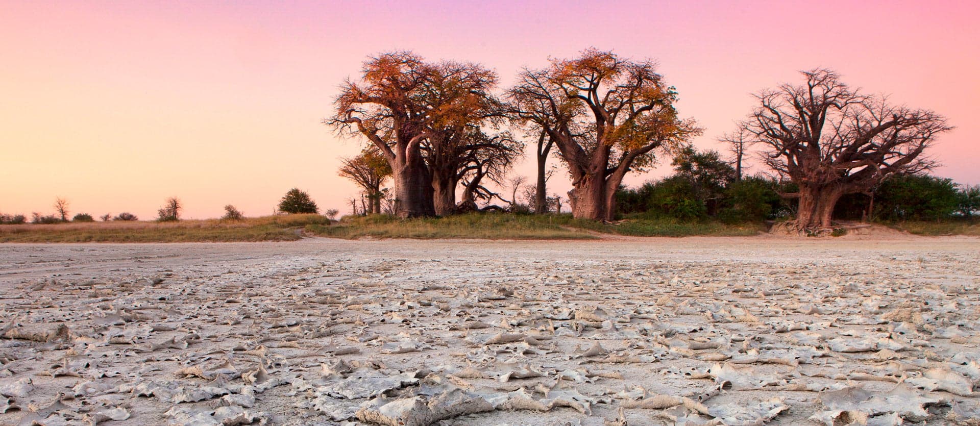 Ntwentwe-Salt-Pans <span class="iconos separador"></span> Botswana