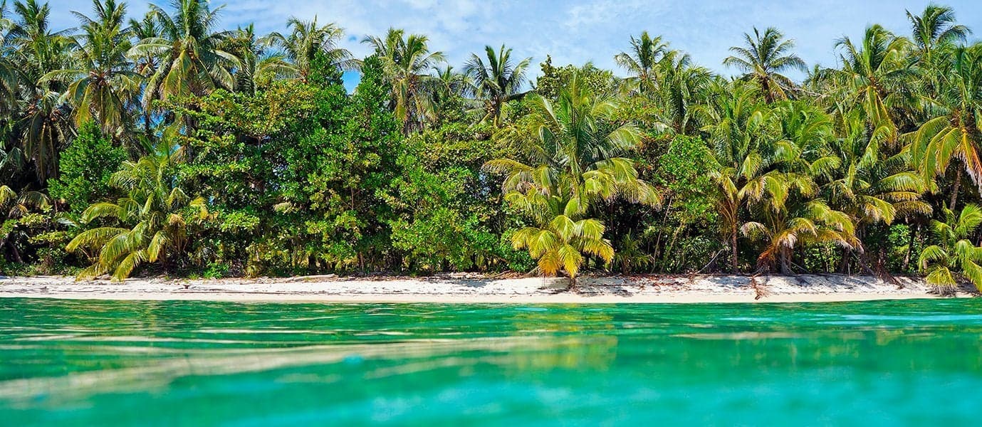 <span class="iconos separador"></span> Tamarindo <span class="iconos separador"></span>