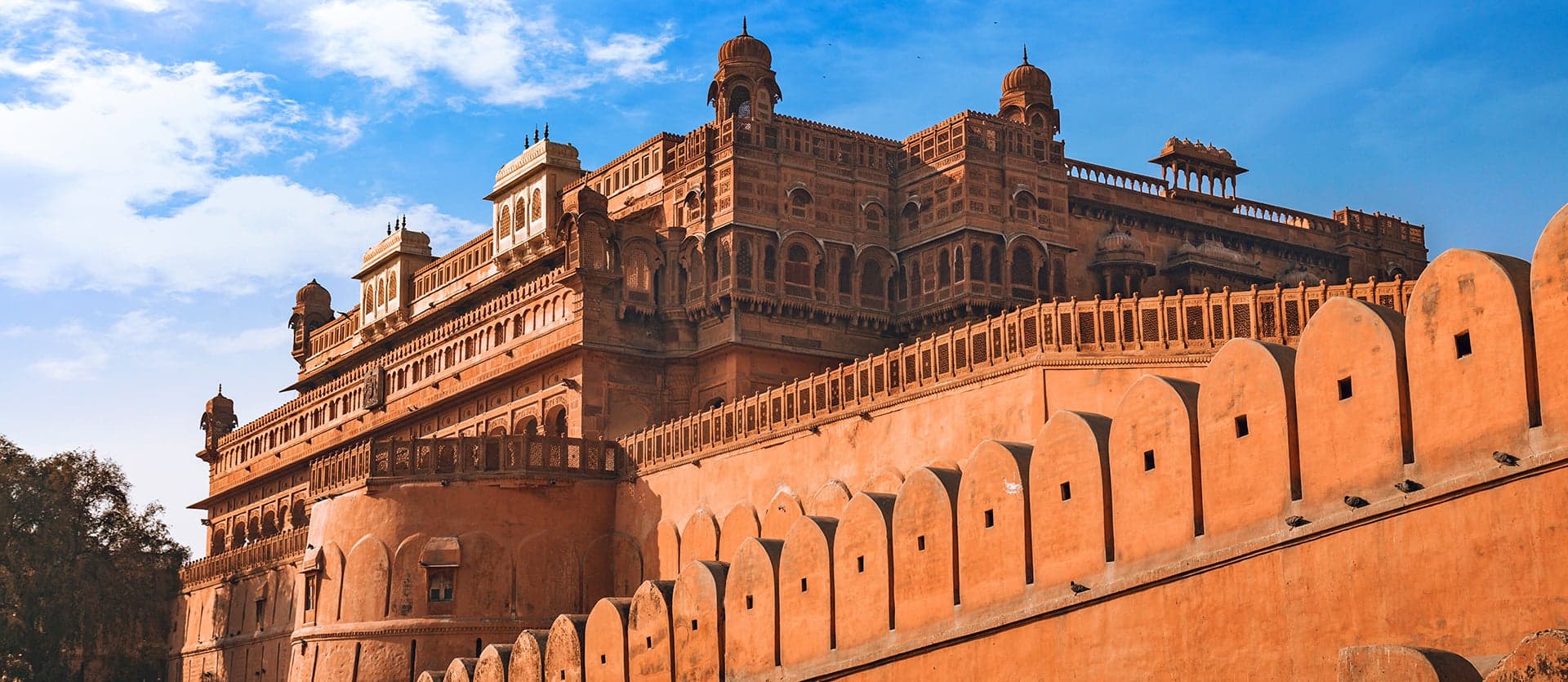Junagahr Fort <span class="iconos separador"></span> Bikaner