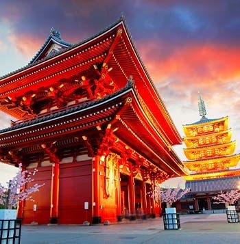 Japón semiguiado: metrópolis y tradición