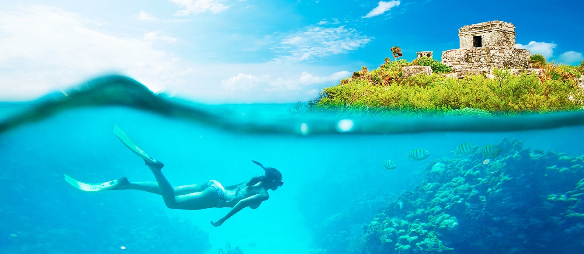 <span class="iconos separador"></span> Snorkeling à Riviera Maya <span class="iconos separador"></span>