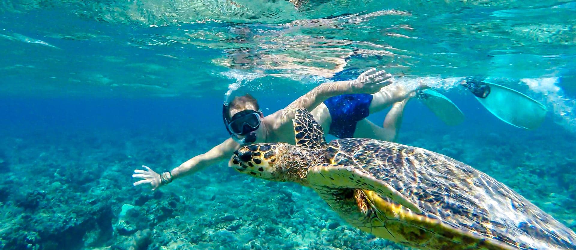 Snorkeling <span class="iconos separador"></span> Gili