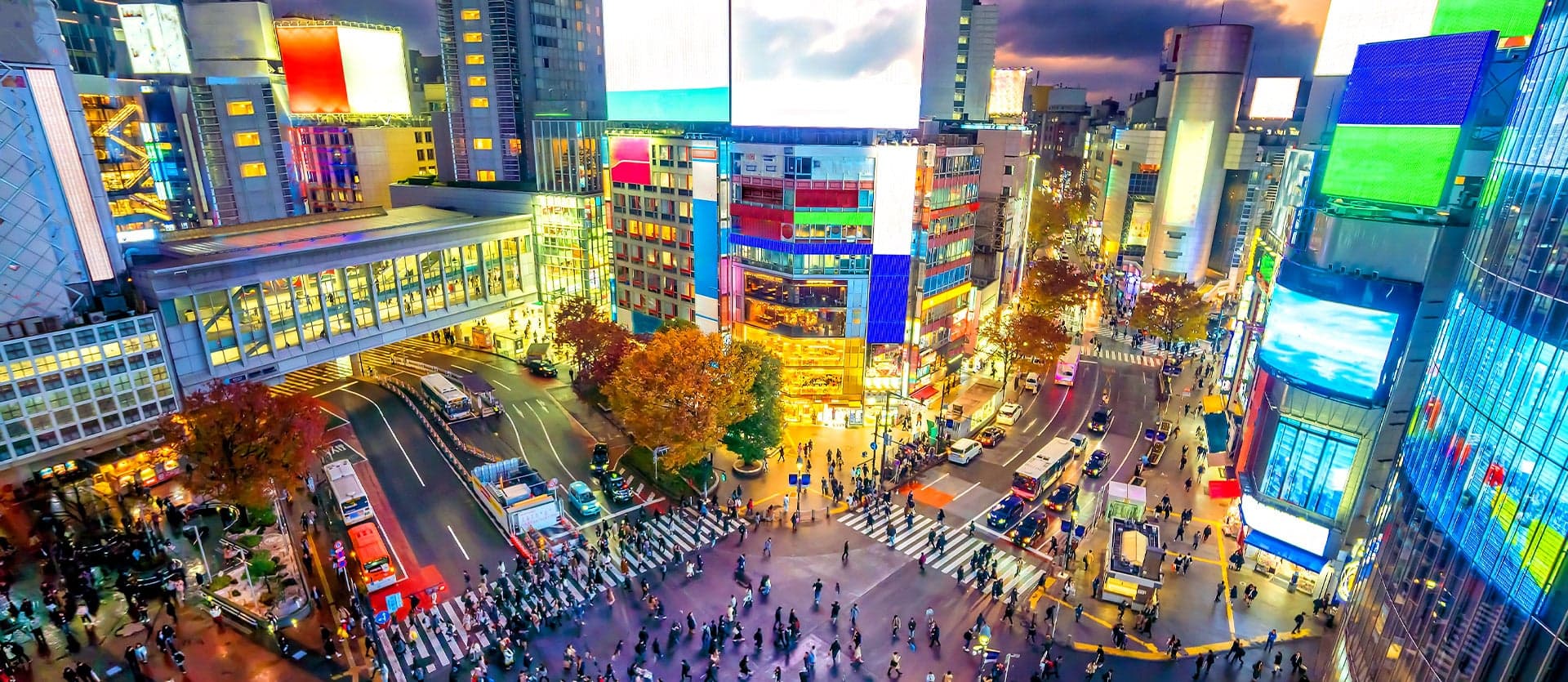 Shibuya Crossing <span class="iconos separador"></span> Tokyo <span class="iconos separador"></span> Japan
