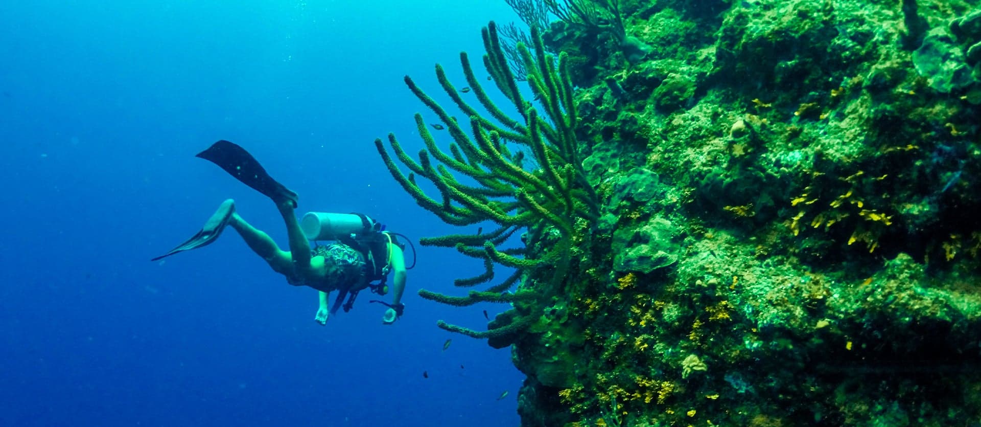 Scuba diver <span class="iconos separador"></span> San Andrés