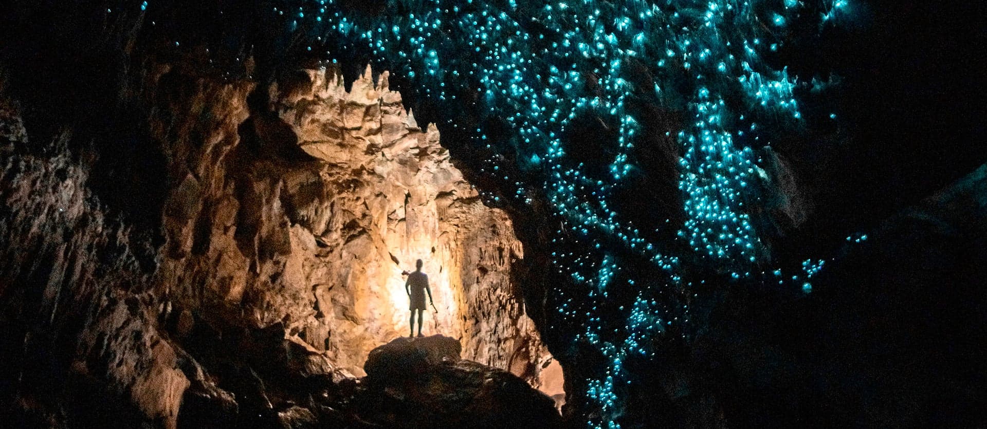 Waitomo Glowworm Caves <span class="iconos separador"></span> New Zealand