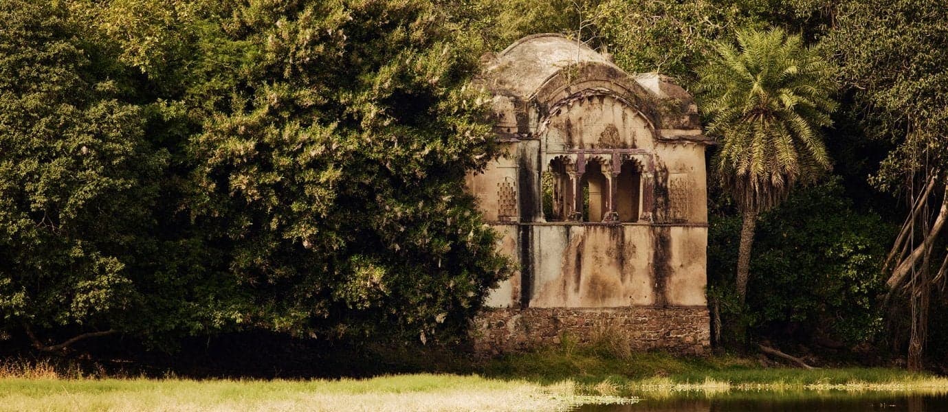 <span class="iconos separador"></span> Ranthambore National Park <span class="iconos separador"></span>