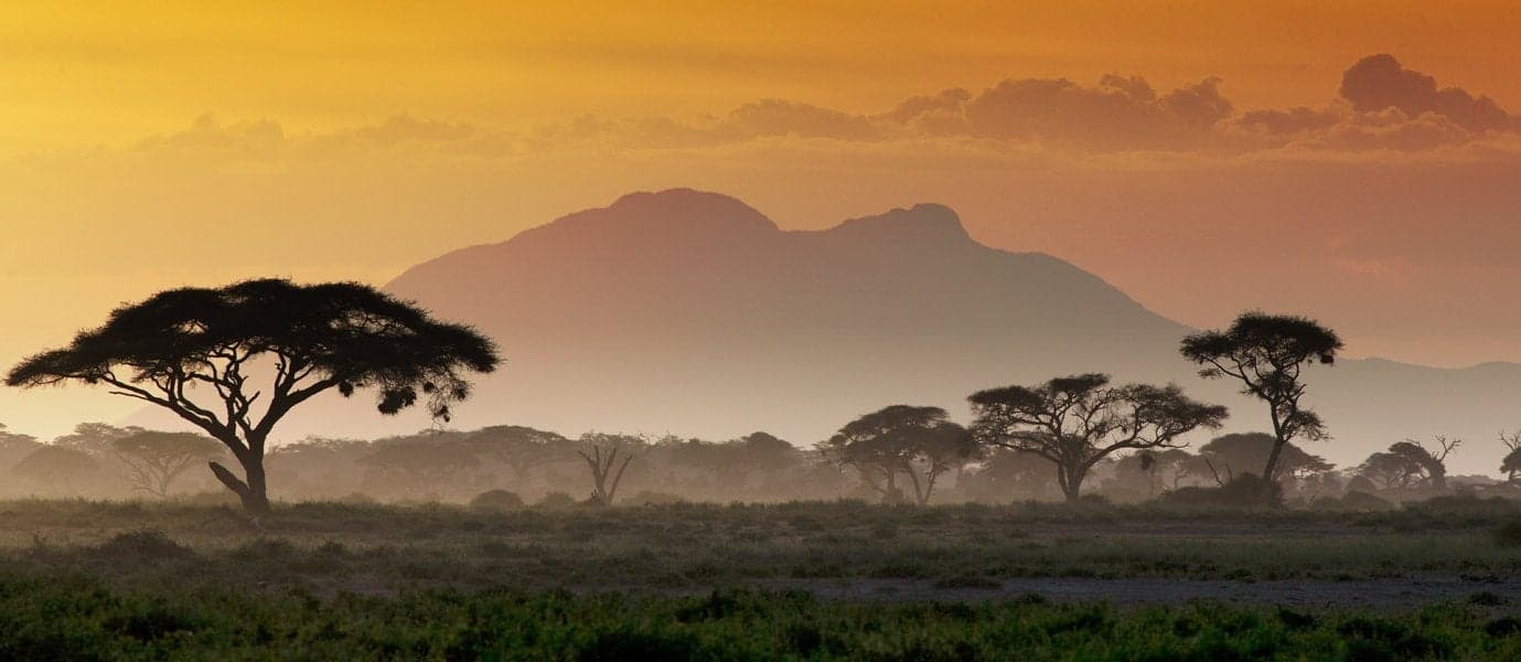 <span class="iconos separador"></span> Sunset over the Savannah <span class="iconos separador"></span>