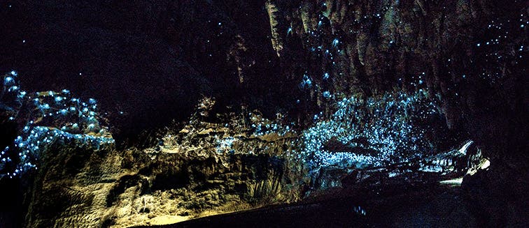 Qué ver en Nueva Zelanda Cuevas de Waitomo