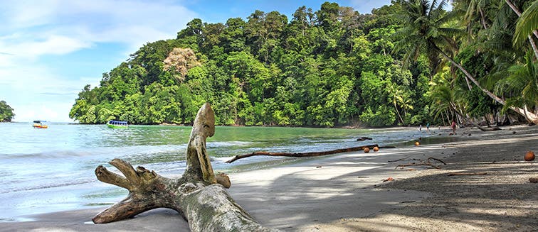 Qué ver en Panamá Parque Nacional Marino Golfo de Chiriquí