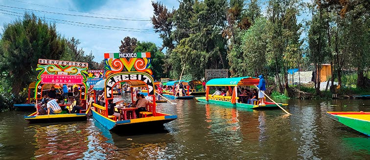 What to see in Mexico Xochimilco