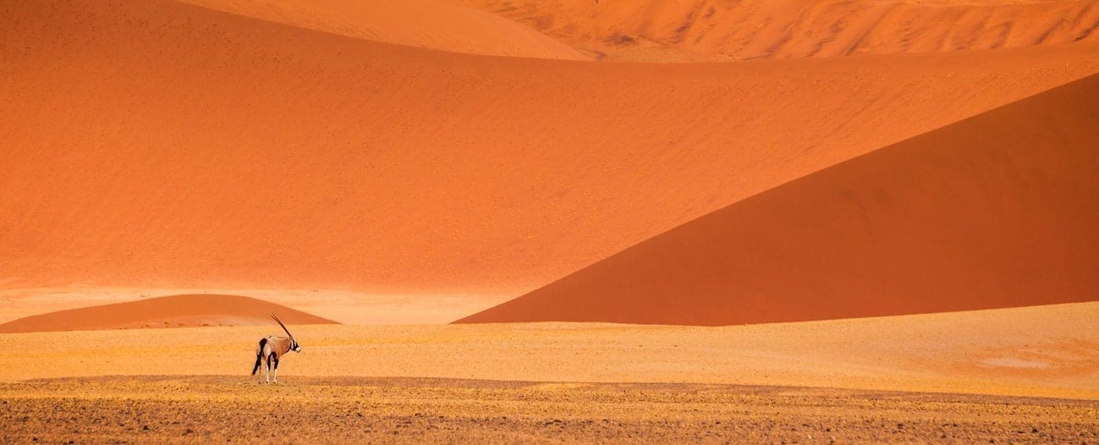 Swakopmund - Soussusvlei - Naukluft Mountains