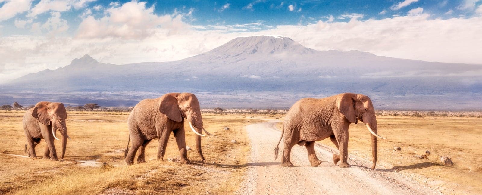 Nairobi - Amboseli National Park