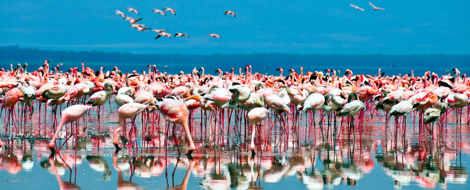 Aberdares National Park - Lake Nakuru