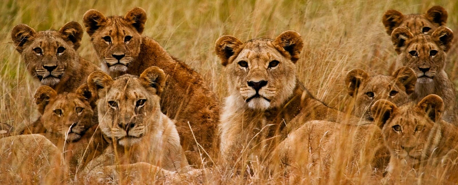 Kruger National Park